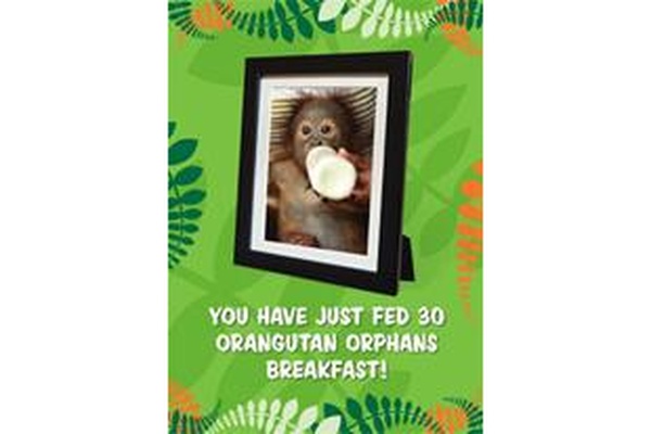 Gift Card - 30 orangutans fed for a month