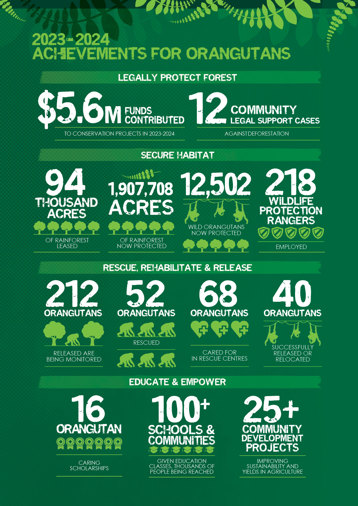 Our Impact by the Numbers