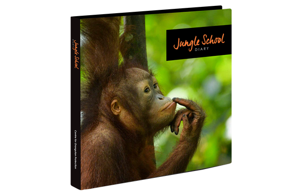 Jungle School Diary